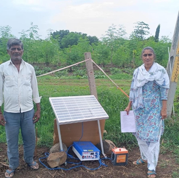 વેરીફીકેશન કરવામાં આવ્યું