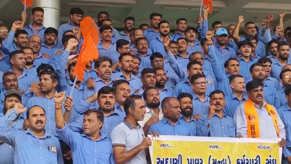 કલેક્ટરને આવેદન અપાયું