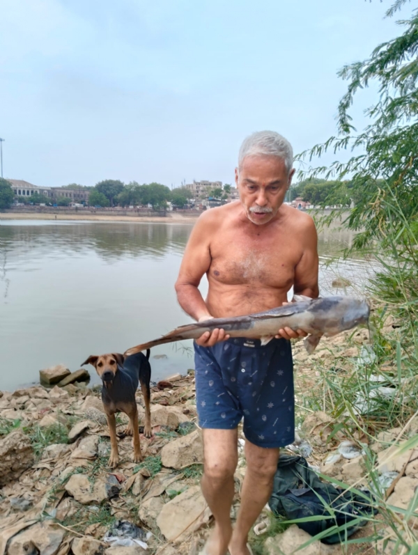 હમીરસર તળાવમાં મળી આવેલ મૃત માછલીઓ હમીરસર તળાવમાં મળી આવેલ મૃત માછલીઓ