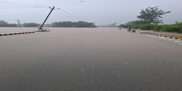 નવસારી જિલ્લામાં સતત વરસાદને પગલે સલામતીના હેતુસર 80 માર્ગો વાહનવ્યવહાર માટે બંધ, નાગરિકોને વૈકલ્પિક માર્ગોનો ઉપયોગ કરવા અપીલ
