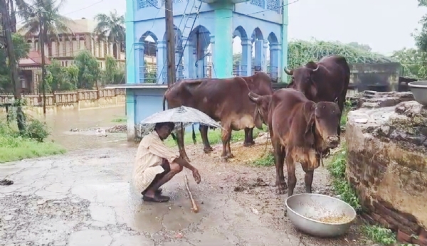 ભરૂચ જિલ્લાના અનેક વિસ્તારોમાં જળબંબાકાર જેવી સ્થિતિ સર્જાઈ