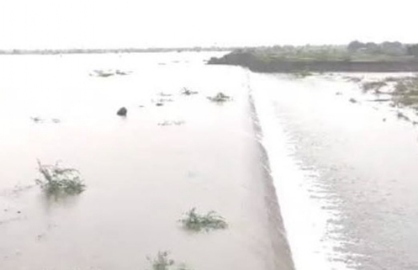 Vansal Dam overflows in Surendranagar,