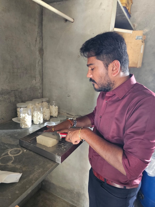 કચ્છમાં ભેળસેળિયા પનીર સામે તંત્રની ચેકીંગ