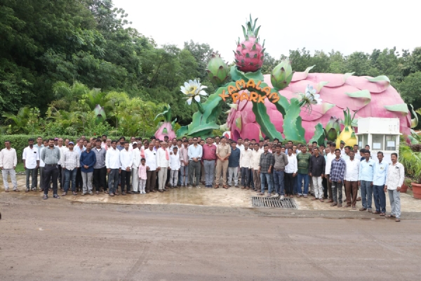 Promoting dragon fruit (lotus) cultivation in the Statue of Unity area