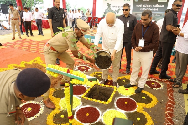 અમરેલીને હરિયાળું બનાવવાનો સંકલ્પ: વરસડામાં મુખ્યમંત્રી ભૂપેન્દ્ર પટેલની ઉપસ્થિતિમાં વૃક્ષારોપણ