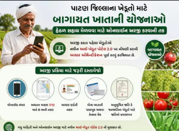 પાટણના ખેડૂતોને બાગાયત સહાય માટે ઓનલાઈન અરજીની તક