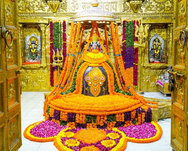 સોમનાથ મહાદેવનો કેસરિયા પુષ્પોથી શૃંગાર