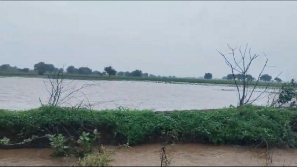 લાઠીના ઈગરોળા ગામે ભારે વરસાદથી ખેતરો જળબંબાકાર, ખેડૂતોમાં ચિંતાનો માહોલ લાઠીના ઈગરોળા ગામે ભારે વરસાદથી ખેતરો જળબંબાકાર, ખેડૂતોમાં ચિંતાનો માહોલ