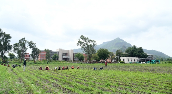 PSDS method that brings the soil to life, a scientific step towards soil regeneration