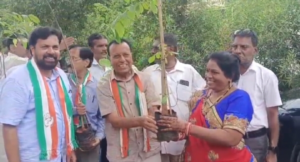 વૃક્ષ આ વિતરણ વૃક્ષ આ વિતરણ
