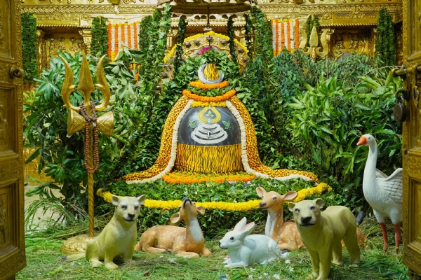 સોમનાથ મહાદેવને કરાયો અલૌકિક હરિયાળી