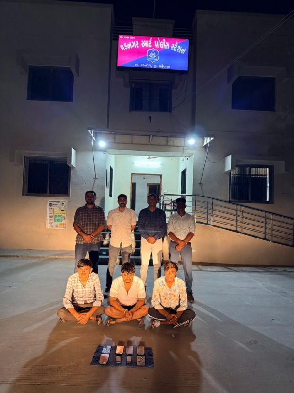 શેરબજારમાં વધુ નફાની લાલચ આપી છેતરપિંડી કરતા 3 ઝડપાયા, એક બાળ કિશોર કાયદાના સંઘર્ષમાં