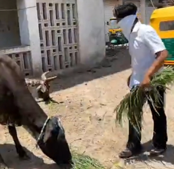 સિદ્ધપુરમાં એક સેવાભાવી પરિવારે પોતાના સ્વજનના જન્મદિવસની ઉજવણીને સેવાકાર્ય સાથે જોડ્યું. સિદ્ધપુરમાં એક સેવાભાવી પરિવારે પોતાના સ્વજનના જન્મદિવસની ઉજવણીને સેવાકાર્ય સાથે જોડ્યું.