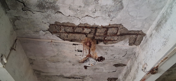 લોરિયા સીઆરસી ભવન જર્જરીત