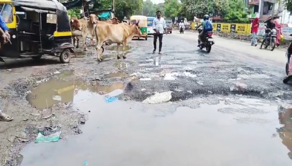 અંકલેશ્વરના ગડખોલ પાટીયાથી અંદાડાને જોડતા અતિ બિસ્માર માર્ગને લઇ રીક્ષા ચાલકોનો અનોખો વિરોધ