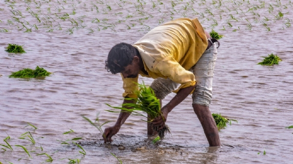 વરસાદ ની રાહ વરસાદ ની રાહ