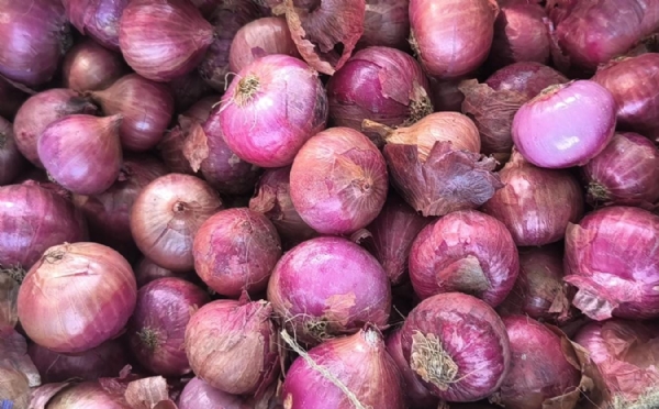 મહુવા યાર્ડ