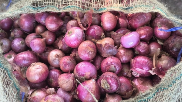 યાર્ડ ફાઈલ ફોટો