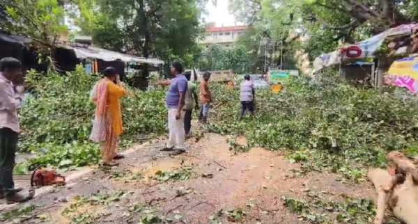 કાર્યવાહી