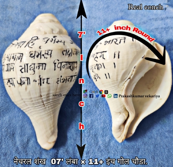 હર ઘર શંખ, ઘર ઘર શંખનાદ