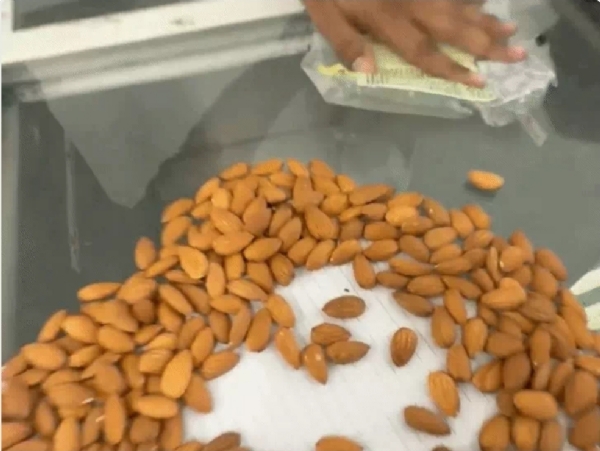 ધનેડા નીકળતાં હોબાળો