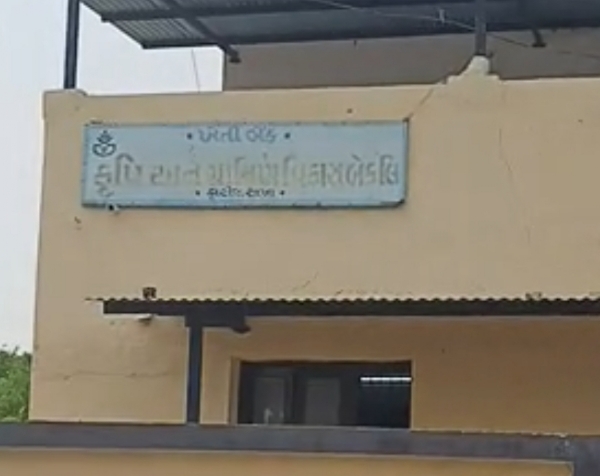 હારીજ ખેતી વિકાસ બેંકની ચૂંટણીમાં 4 બેઠકો માટે 11 ઉમેદવારી પત્રો ભરાયા