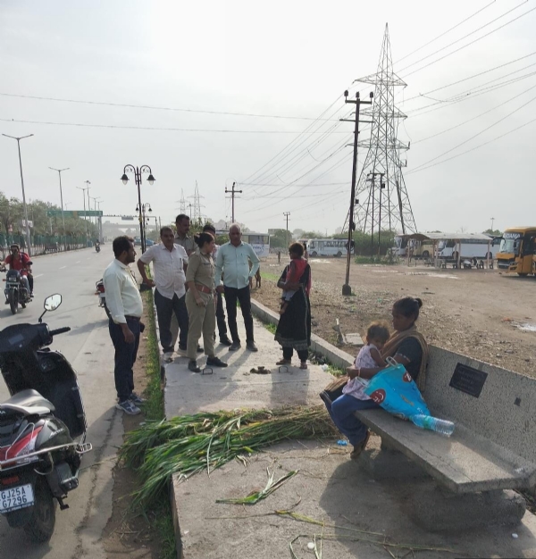 જાહેર સ્થળોએ ગેરકાયદેસર ઘાસચારા વેચાણ કરનાર 7 લોકો સામે સામે પોલીસ ફરિયાદ દાખલ જાહેર સ્થળોએ ગેરકાયદેસર ઘાસચારા વેચાણ કરનાર 7 લોકો સામે સામે પોલીસ ફરિયાદ દાખલ