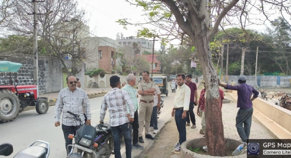 જાહેર સ્થળોએ ગેરકાયદેસર ઘાસચારા વેચાણ કરનાર 7 લોકો સામે સામે પોલીસ ફરિયાદ દાખલ જાહેર સ્થળોએ ગેરકાયદેસર ઘાસચારા વેચાણ કરનાર 7 લોકો સામે સામે પોલીસ ફરિયાદ દાખલ