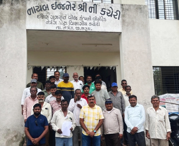 નેત્રંગ બોરખાડીમાં વીજ ફોલ્ટ દૂર કરવામાં વિલંબથી ખેડૂતો અને સ્થાનિકો મુશ્કેલીમા