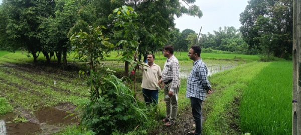 Agricultural experts provided guidance by personally visiting farmers of Dediyapada and Chikda talukas