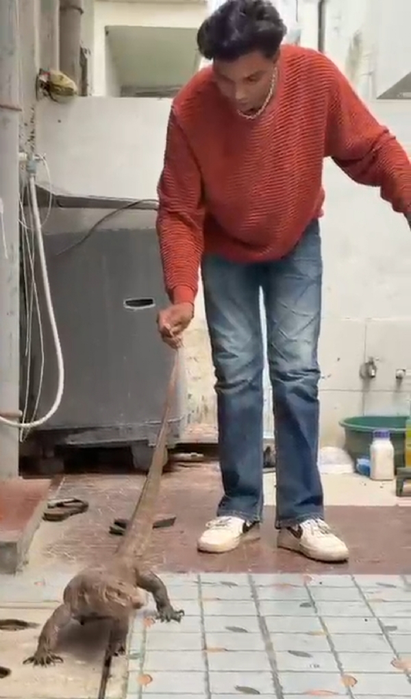 પાટલા ગો પાટલા ગો