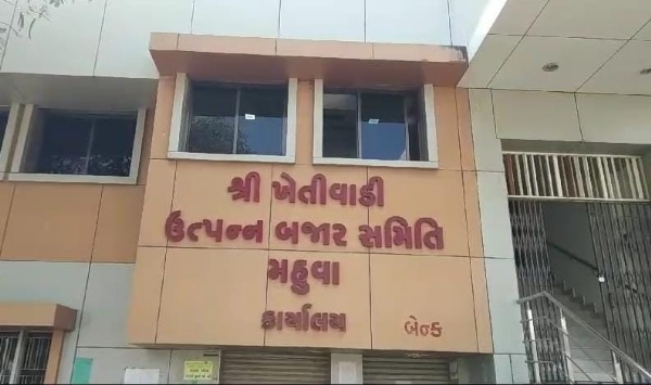 મહુવા યાર્ડ ફાઈલ ફોટો