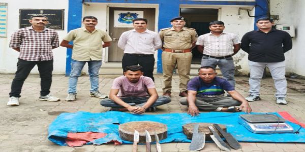 પાનોલી પોલીસે ભાદી ગામની સીમમાં ગૌવંશ કતલ પ્રકરણમાં બે ખાટકીઓની ધરપકડ કરી