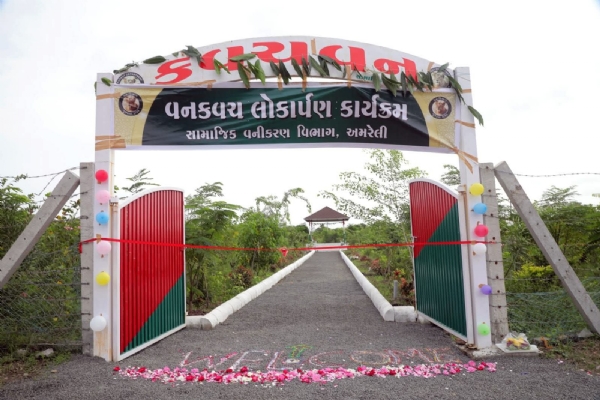 રાજુલા તાલુકાના વાવેરા ગામ ખાતે નવનિર્મિત વન  કવચનું લોકાર્પણ :વન સંરક્ષણ તરફ એક વધુ મક્કમ પગલું