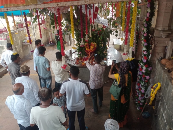 નાગ પંચમીના દિવસે સિદ્ધપુરમાં પારસ પીપળી ગોગા મહારાજના મંદિરે ભક્તો ઊમટ્યા નાગ પંચમીના દિવસે સિદ્ધપુરમાં પારસ પીપળી ગોગા મહારાજના મંદિરે ભક્તો ઊમટ્યા