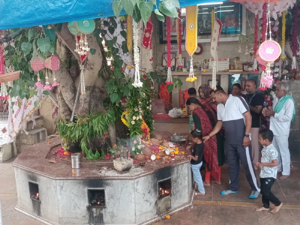 નાગ પંચમીના દિવસે સિદ્ધપુરમાં પારસ પીપળી ગોગા મહારાજના મંદિરે ભક્તો ઊમટ્યા નાગ પંચમીના દિવસે સિદ્ધપુરમાં પારસ પીપળી ગોગા મહારાજના મંદિરે ભક્તો ઊમટ્યા
