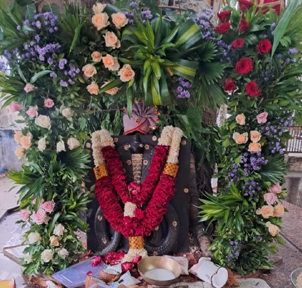 નાગ પંચમીના દિવસે સિદ્ધપુરમાં પારસ પીપળી ગોગા મહારાજના મંદિરે ભક્તો ઊમટ્યા નાગ પંચમીના દિવસે સિદ્ધપુરમાં પારસ પીપળી ગોગા મહારાજના મંદિરે ભક્તો ઊમટ્યા
