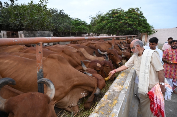 પૂજ્ય  ભાઈશ્રીના  પ્રાગટ્ય દિવસની સેવાદિવસ તરીકે ઉજવણી.