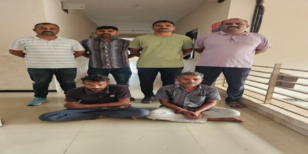 પાલીતાણા-સોનગઢ હાઇવે પરથી દારૂ-બિયરના જથ્થા સાથે બે ઇસમ ઝડપાયા