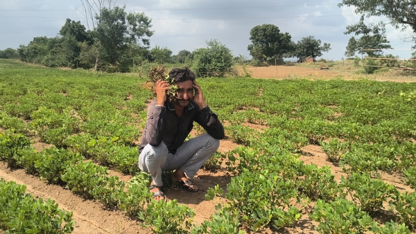 ખેડૂતોનો પાક સુકાવા લાગ્યો