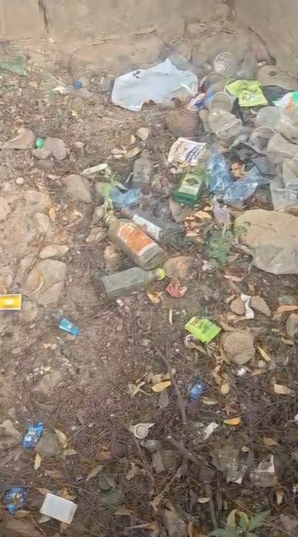 માધાપર માં દારૂની ખાલી બાટલીઓ