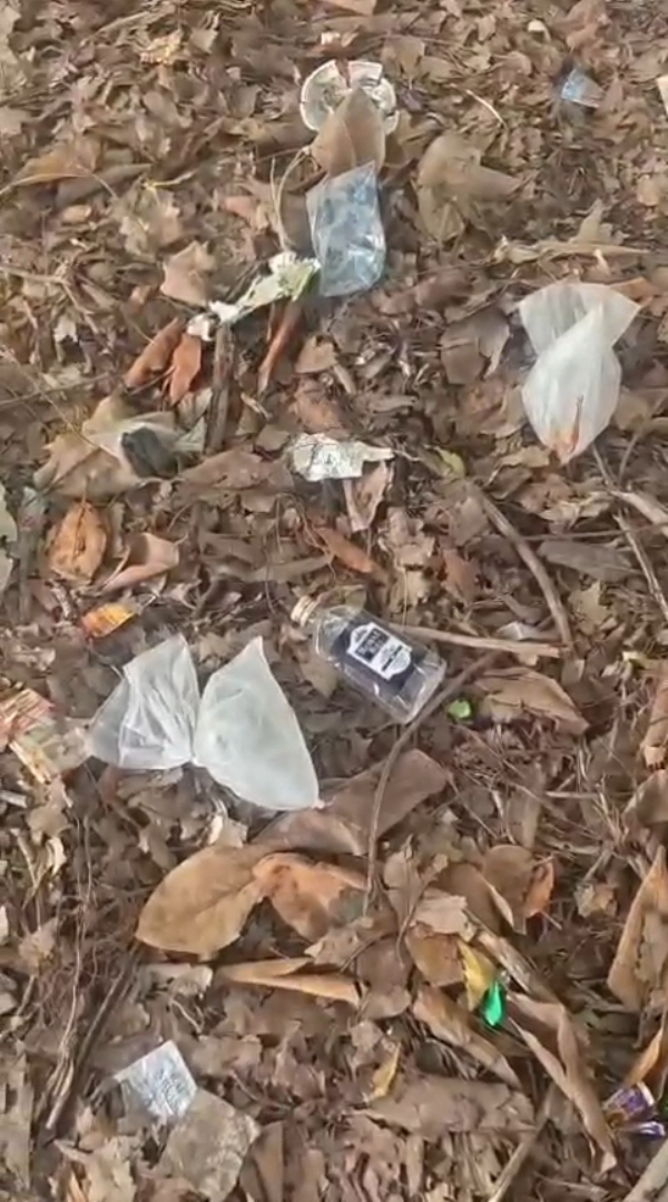 માધાપરમાં દારૂની ખાલી બાટલીઓ