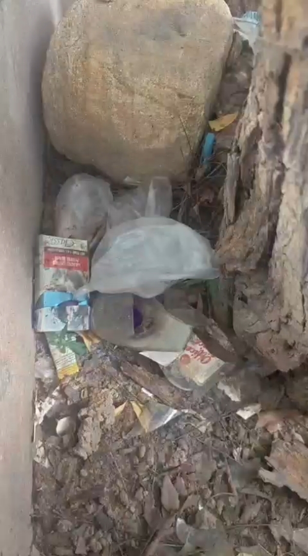 માધાપરમાં દારૂની ખાલી બાટલીઓ