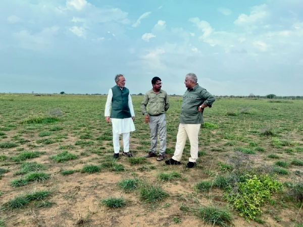 નલિયા ગ્રાસલેન્ડ ખાતે મંત્રીની મુલાકાત નલિયા ગ્રાસલેન્ડ ખાતે મંત્રીની મુલાકાત