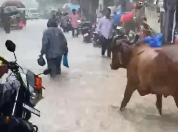 ઉના-ગીરગઢડા પંથકમાં વરસાદ શરૂ: