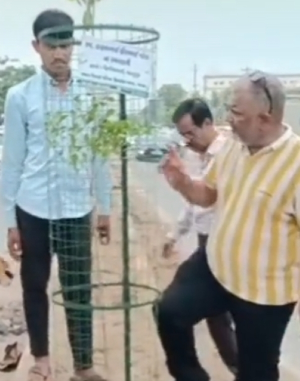 ભારત વિકાસ પરિષદ સિદ્ધમ શાખા  દ્વારા શહેરના મુખ્ય હાઈવેના ડીવાઈડરોમાં વૃક્ષારોપણ અભિયાન શરૂ કરવામાં આવ્યું