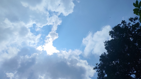 દેહરાદુન ની મોસમ