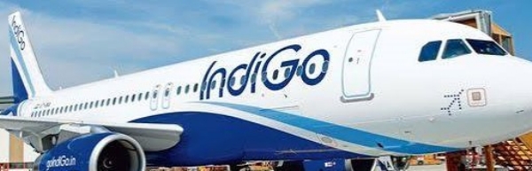 indigo flights at rajkot