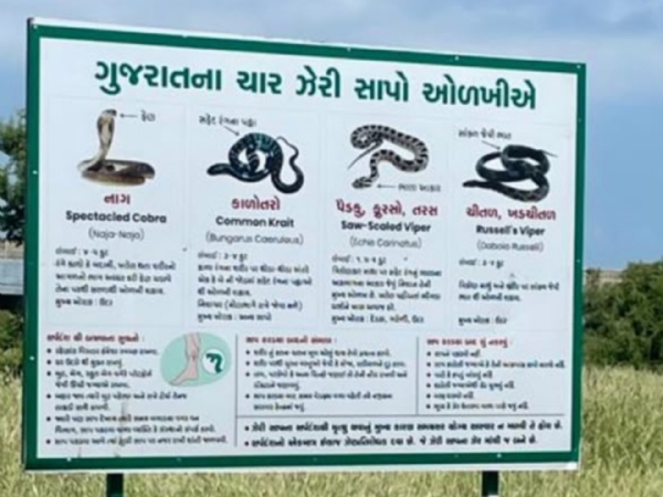 કચ્છ કાળા ડુંગર વન્ય જીવ સુરક્ષા