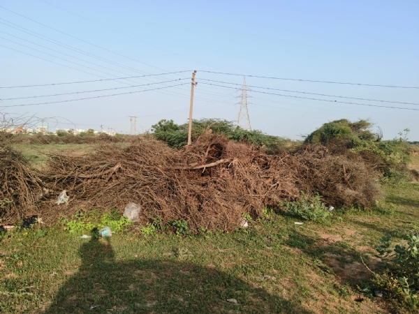 સાડાઉ ખાતે દબાણ હટાવી જમીન ખુલ્લી કરાઈ